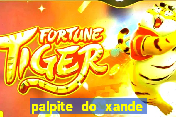 palpite do xande de hoje