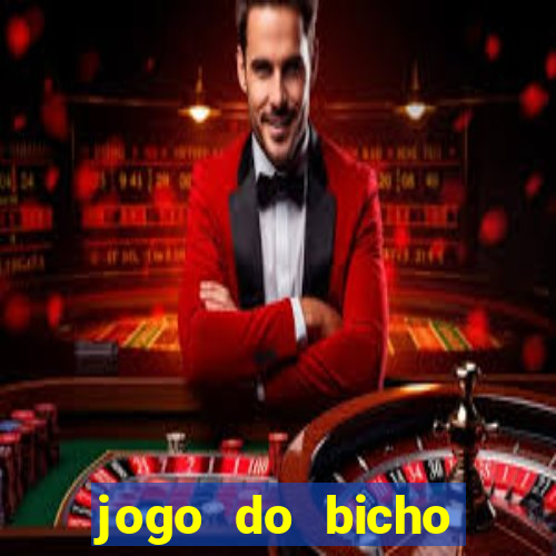 jogo do bicho crash bingo