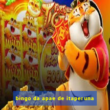 bingo da apae de itaperuna