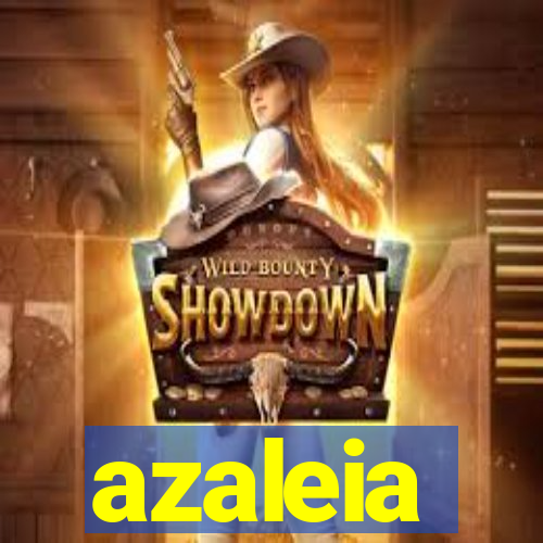 azaleia-br.com