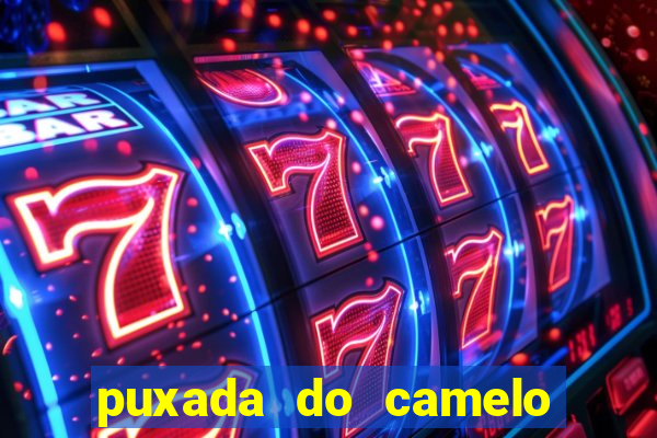 puxada do camelo no jogo do bicho