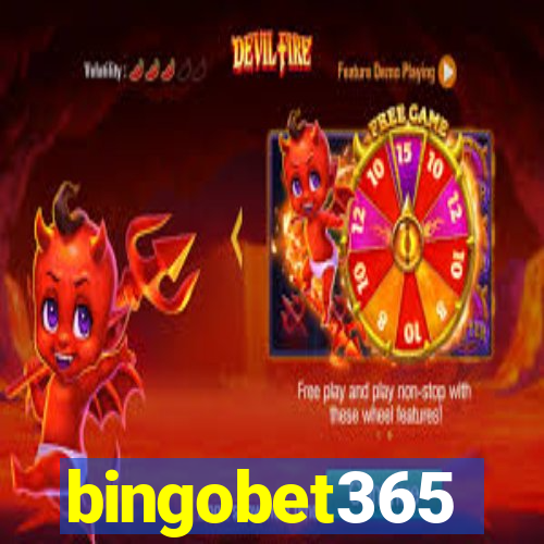 bingobet365