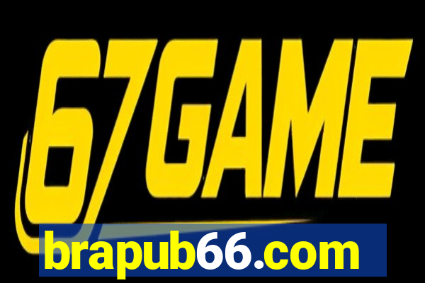 brapub66.com