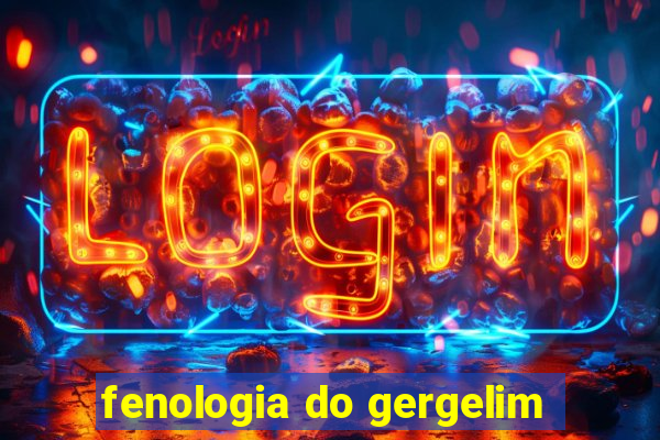 fenologia do gergelim