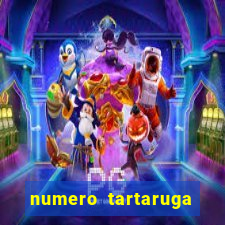 numero tartaruga jogo do bicho