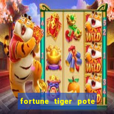 fortune tiger pote de ouro completo