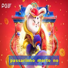 passarinho morto no quintal significado espiritual