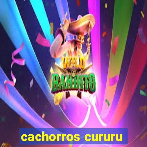 cachorros cururu