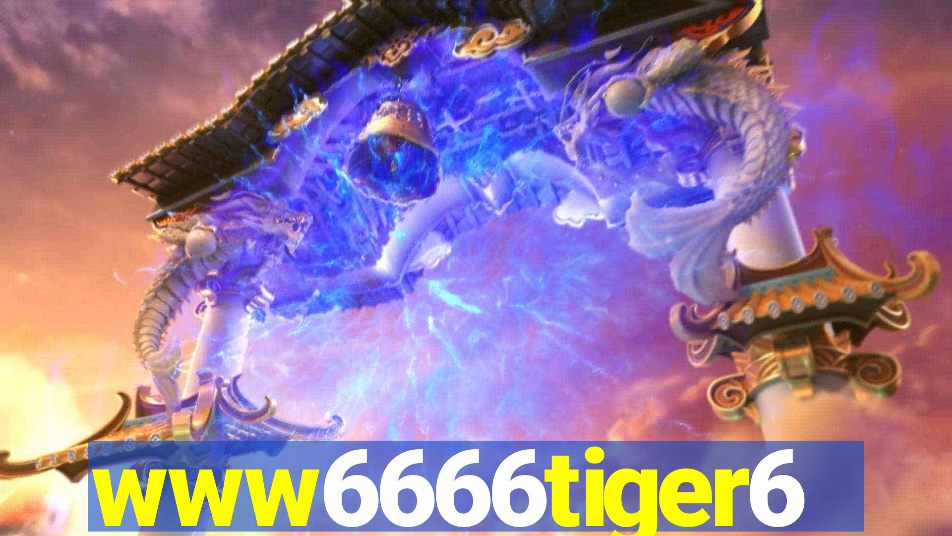 www6666tiger6